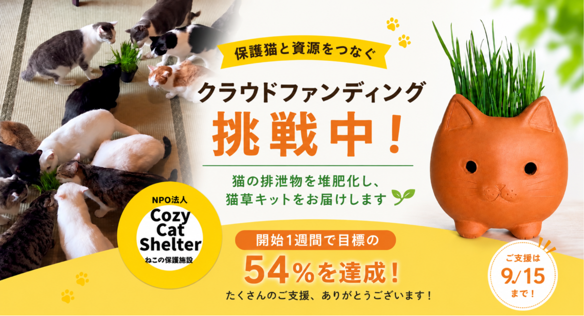 猫の排泄物を堆肥化した猫草プロジェクトに反響　クラウドファンディング開始1週間で54％達成