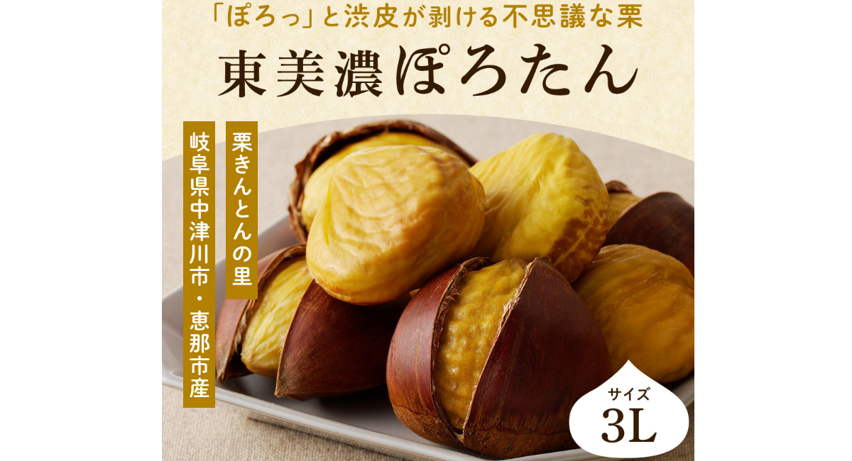 【岐阜・東美濃の秋の味覚】皮むきしやすい和栗「東美濃ぽろたん」、1カ月以上の低温貯蔵を経て10月末より出荷
