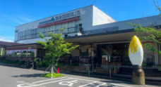 株式会社サラダコスモのプレスリリース